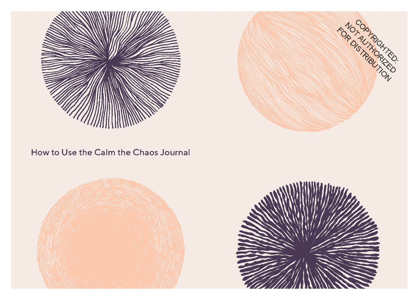 Calm the Chaos Journal
