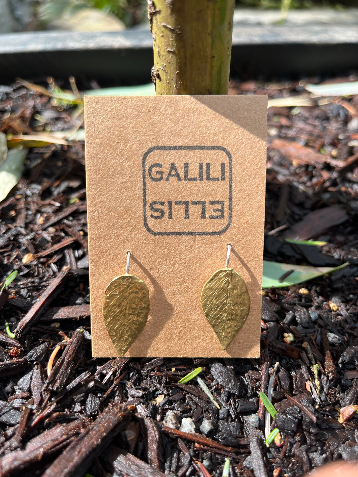 Brass Leaf Earrings
