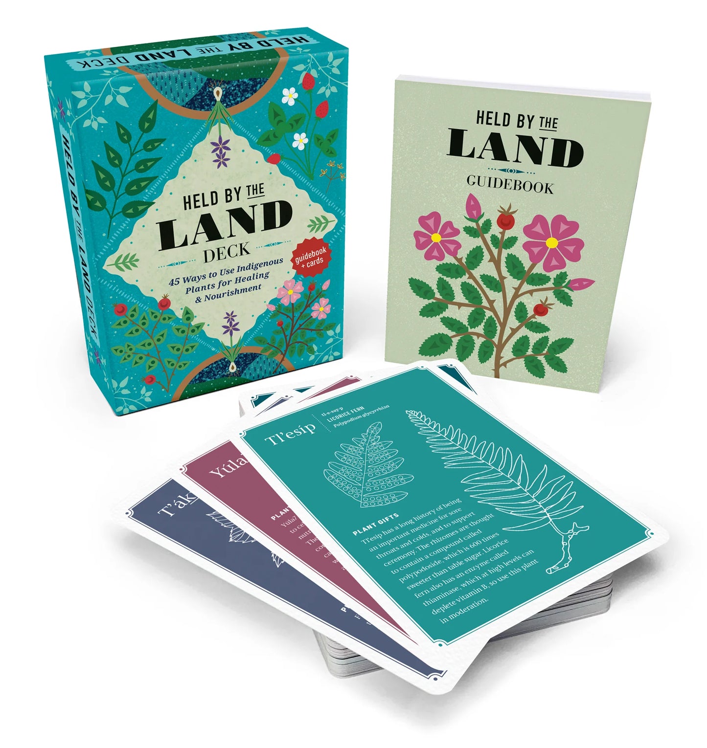 Oracle Deck | Held by the Land