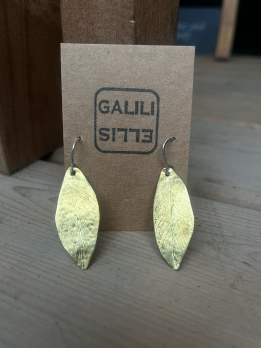 Brass Leaf Earrings | Galili Ellis