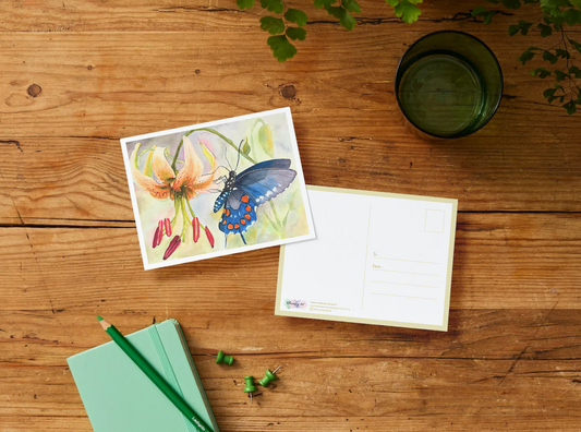 Postcard | Rose Kang