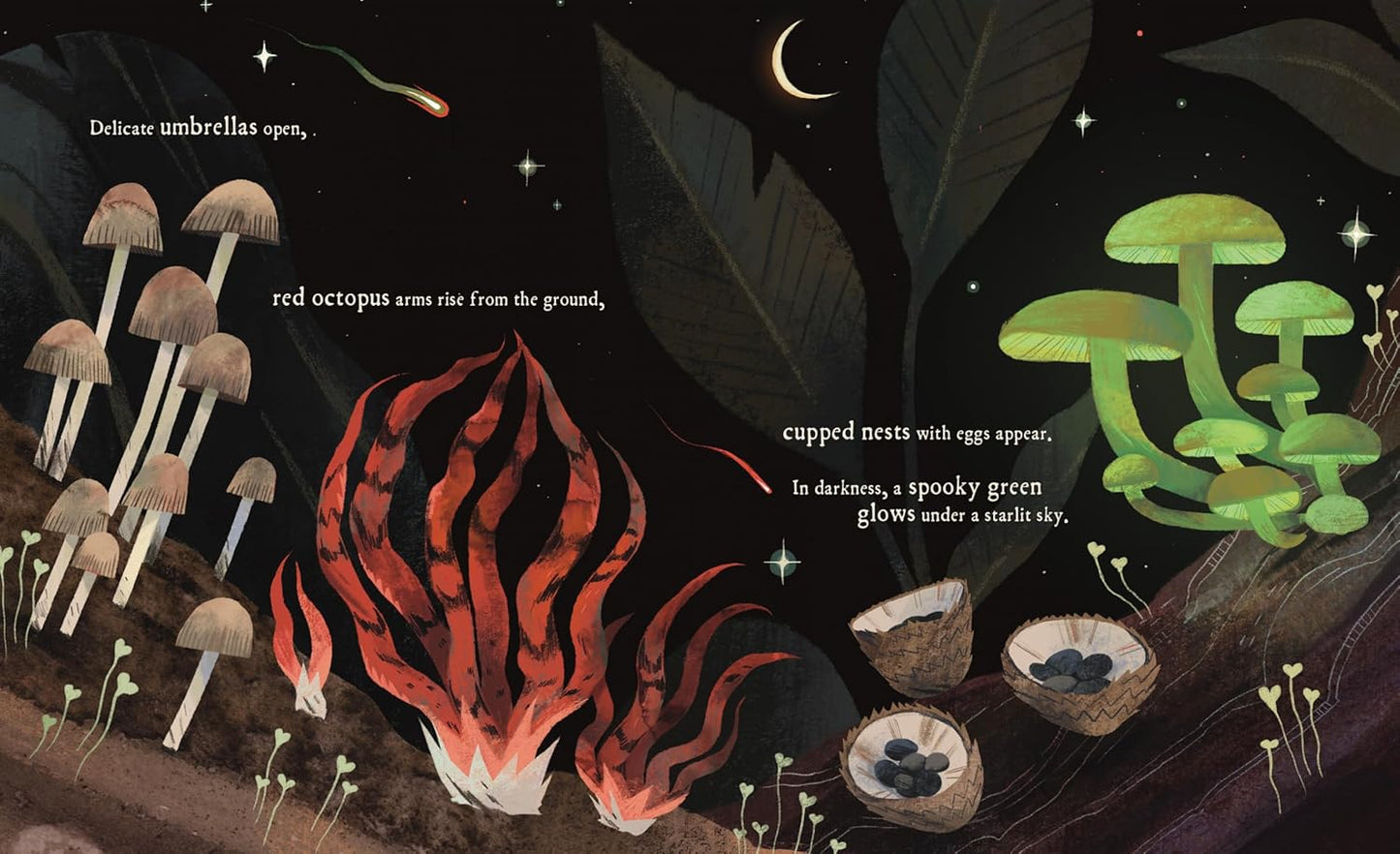 Book | Mushroom Rain by Laura K. Zimmermann
