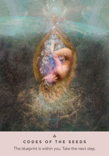 The Rose Oracle Cards