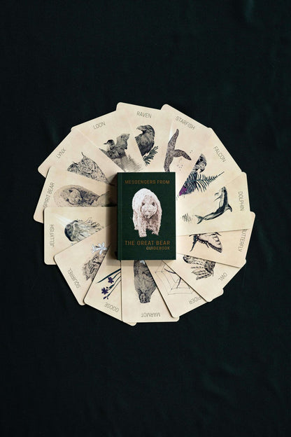 The Great Bear Oracle Cards