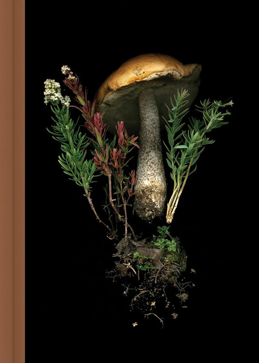 Book | Deep Dark Forest of Mushrooms Journal by Julya Hajnoczky