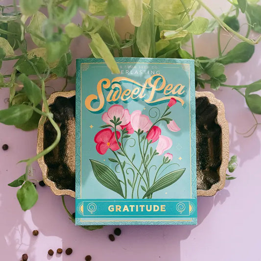 To & From Gift Co. - Everlasting Sweet Pea (Gratitude) - Floriography Seed Packet