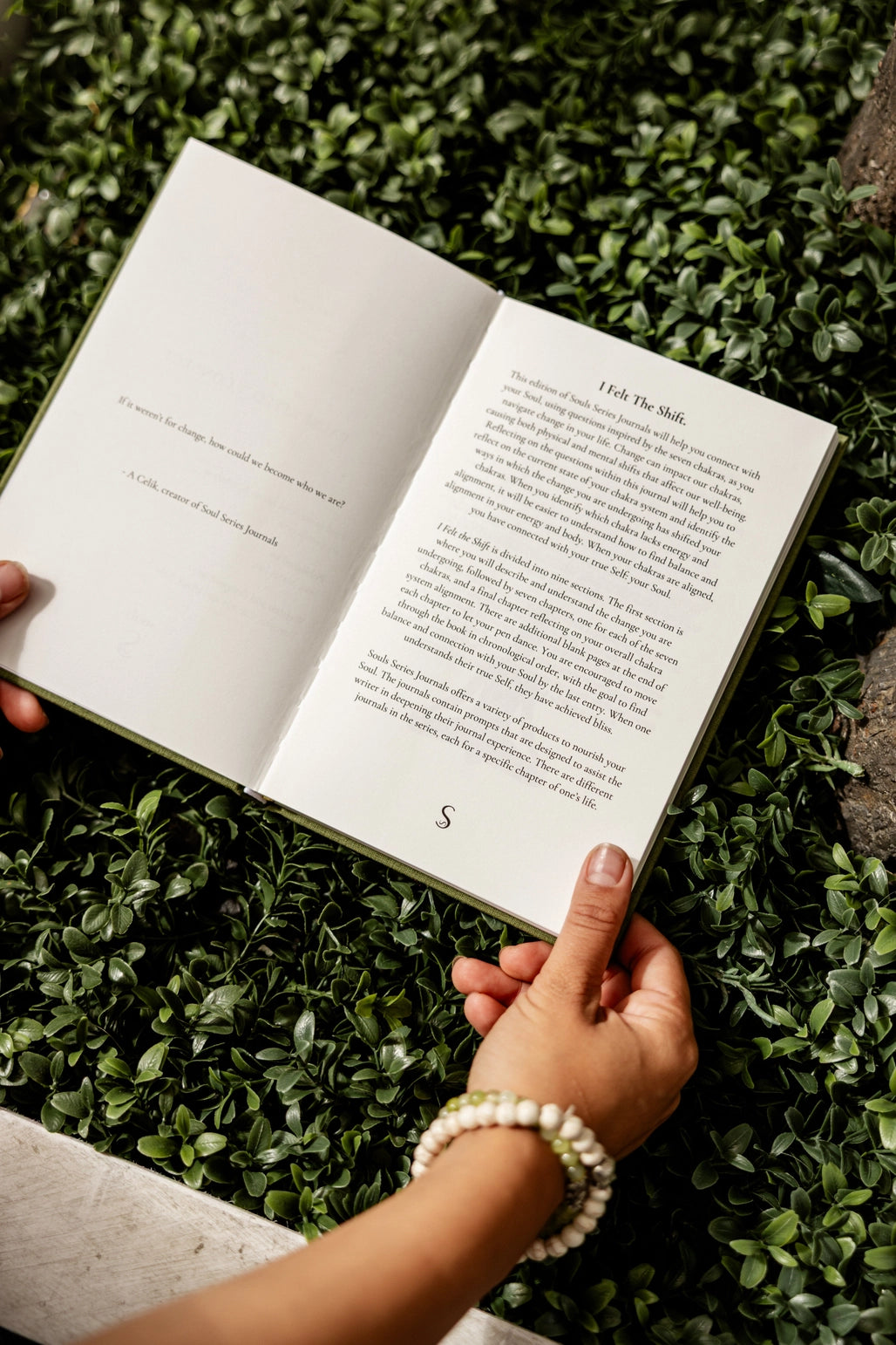 I Felt the Shift. - Soul Series Journals