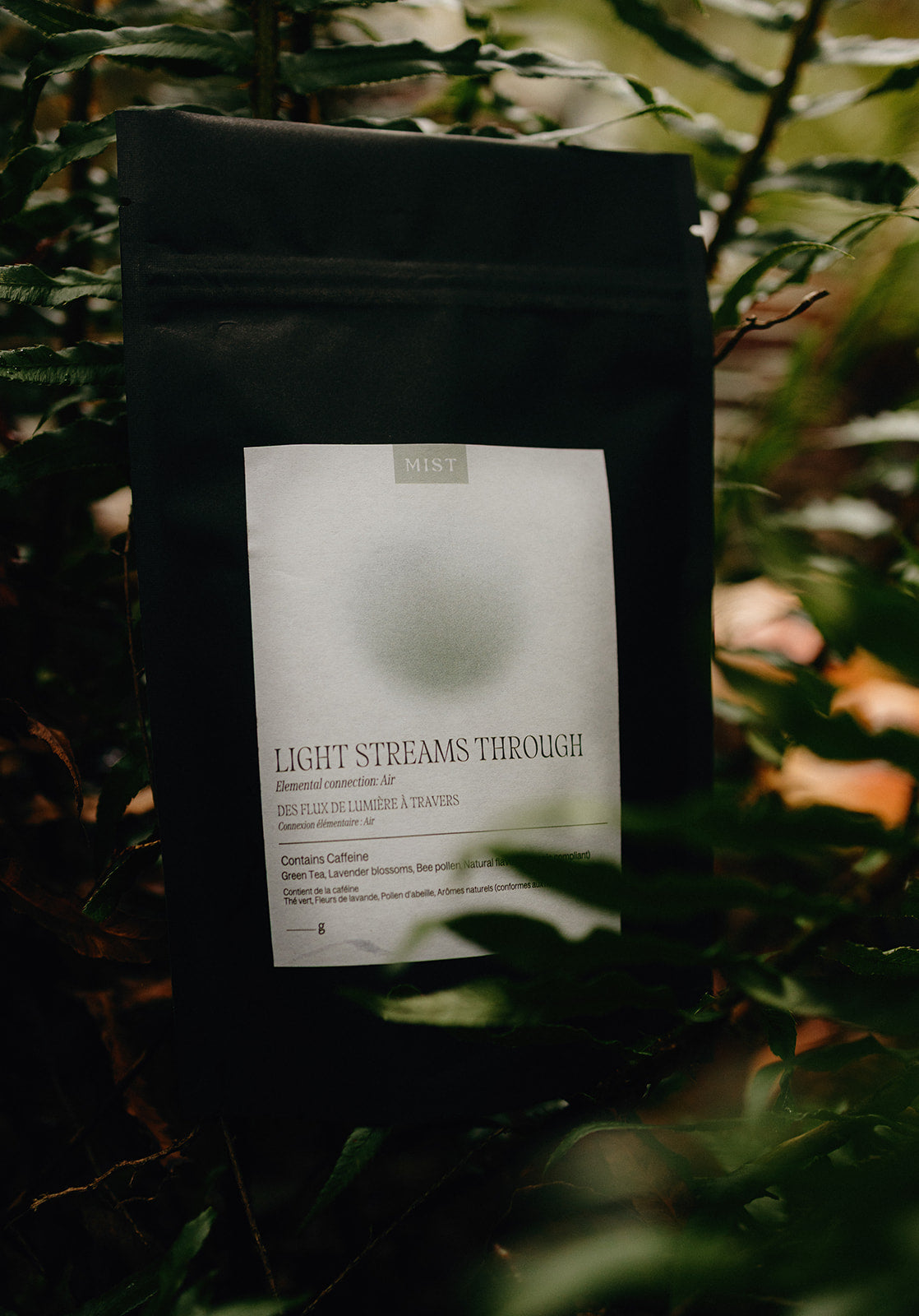 Mist Goods Tea | Light Streams Through