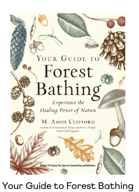 Book | Your Guide to Forest Bathing | M. Amos Clifford