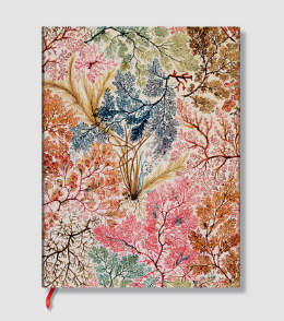 Journal |Anemone Midi Lined Softcover  | by Paperblanks (William Kilburn)