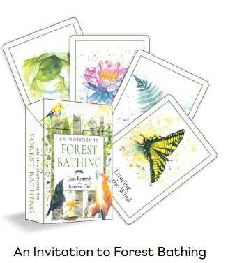 Card Deck | An Invitation to Forest Bathing | Lissa Kennedy illustrated by Roxanne Côté