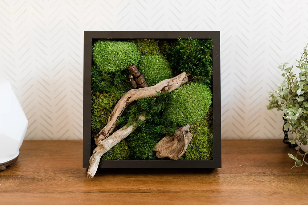 Soul Roots Moss Art Square Frame