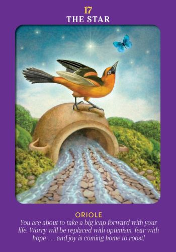 Animal Guides Tarot