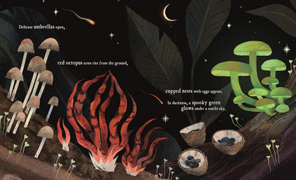 Book | Mushroom Rain by Laura K. Zimmermann