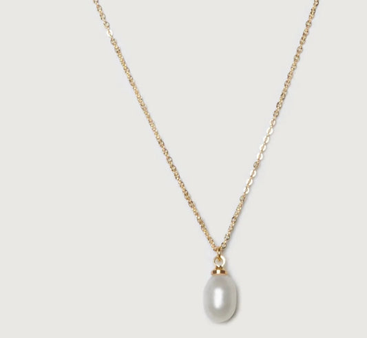 Teardrop Fresh Water Pearl Simple Necklace