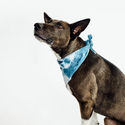 Hand Tie Dyed Bandana